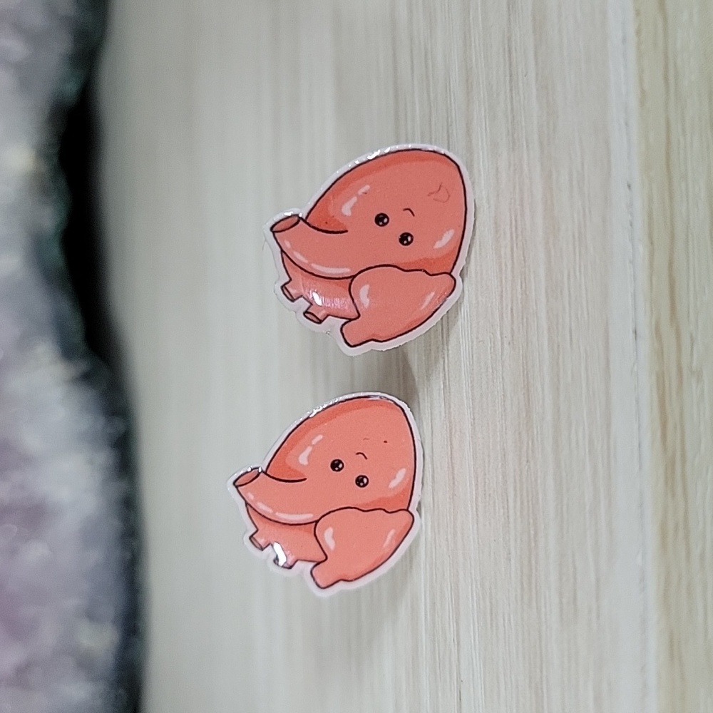 Anatomical Heart Kawaii Stud Earrings, unisex - Picture 4 of 6